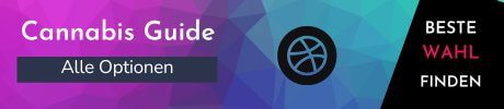 Cannabis Guide für Thailand Cannabis Guide Banner mit lila-blauem Verlauf zur besten Auswahl
