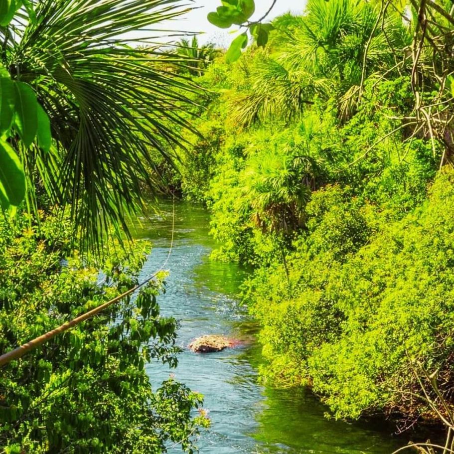 Zipline-Abenteuer durch die tropische Landschaft Thailands mit Fluss und dichter Vegetation – ein Highlight für Adrenalinjunkies.