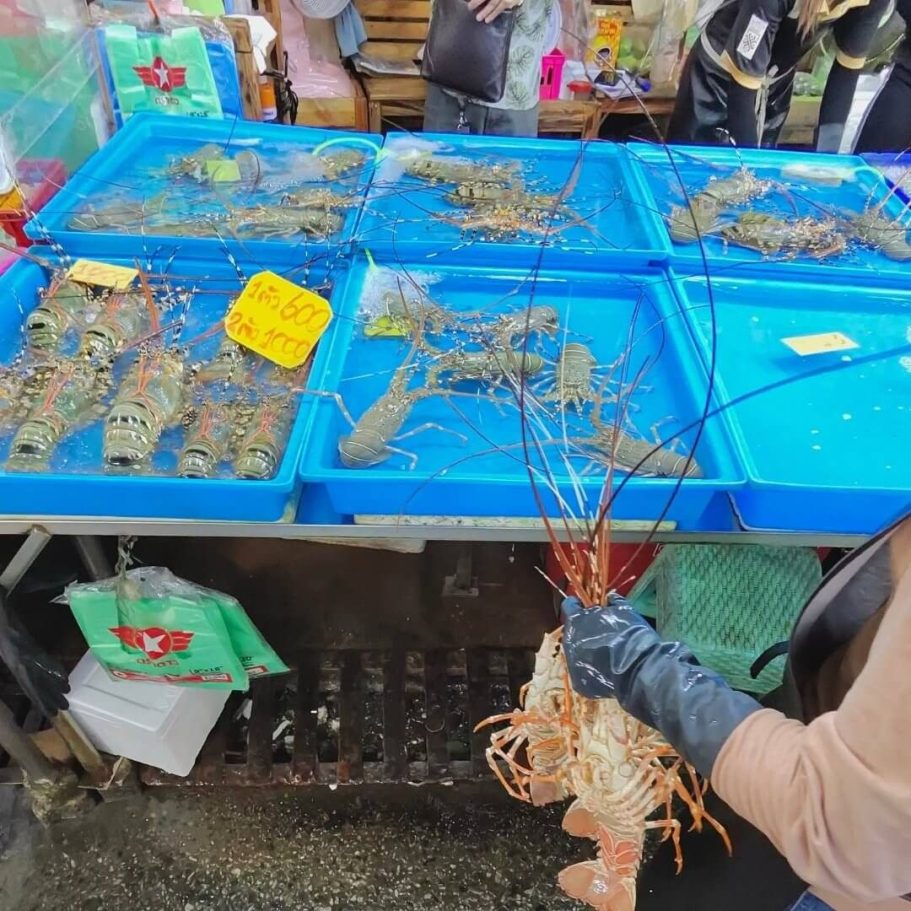 Frische Languste auf dem Seafood-Markt in Pattaya Marktstand mit frischen Langusten in blauen Wasserbecken in Pattaya